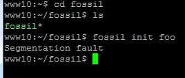 Image of the problem