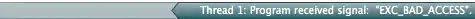EXC_BAD_ACCESS