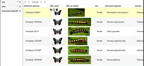error details