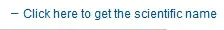Expenses.png