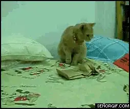 Play Framework WebApp without optimizations