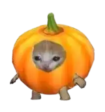me