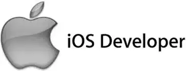 Text Input Layout
