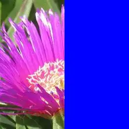 example