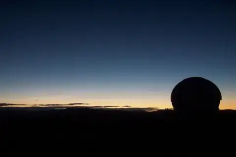 Bouncy Birdy