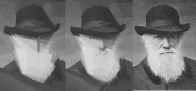 res