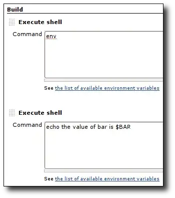 display env from the job definition