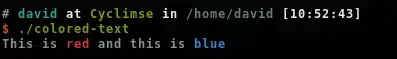 execution's output