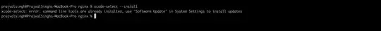 request payload