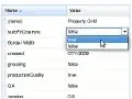 Snapchats View Elements during transition