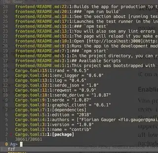 Screenshot of the output