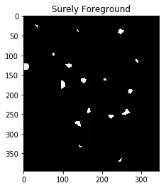 Distance transformation eliminates a cell