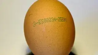 Spanish Egg