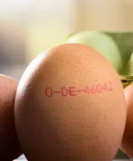 German Egg