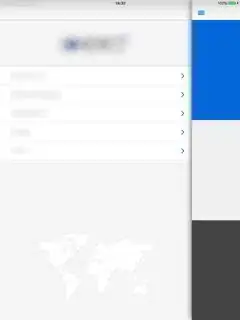 Portrait orientation menu