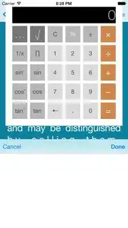 screenshot of custom input view
