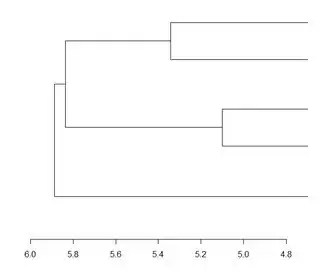 Cropped Dendrogram