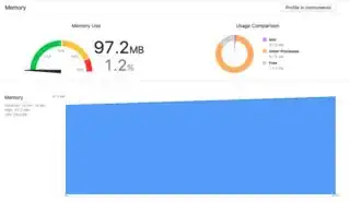 memory leak