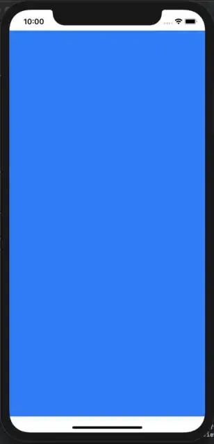 iPhone X result