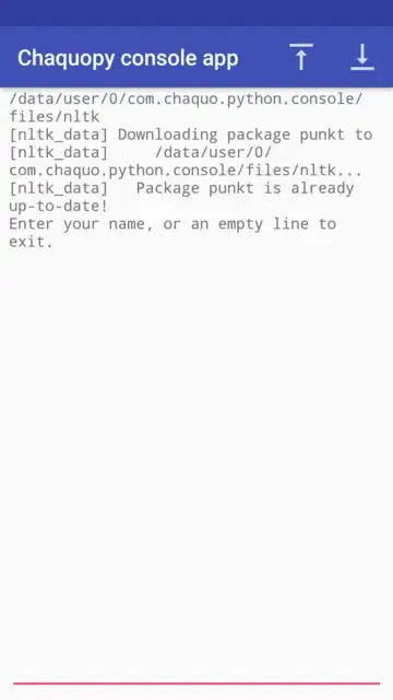 The first line is the download_dir in which nltk.download('punkt') is downloading data