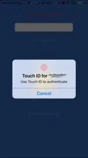 My App TouchID authentication
