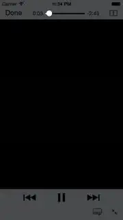 Video portrait