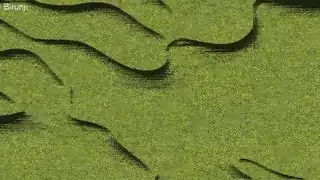 green stuff
