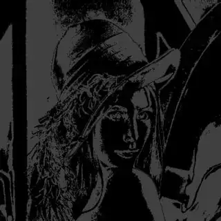 bit 6