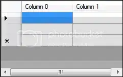 DataGridView Extra Row