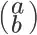 "\left( a \ b \right)" LaTeX