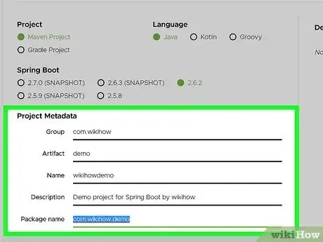 Step 5 Digite os metadados do projeto no formulário “Metadata” (Metadados).