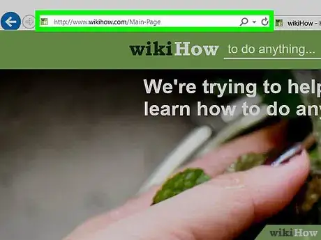 Step 2 Acesse o website.