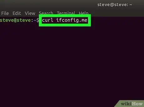 Step 3 Digite o comando que imprime o IP público na tela.